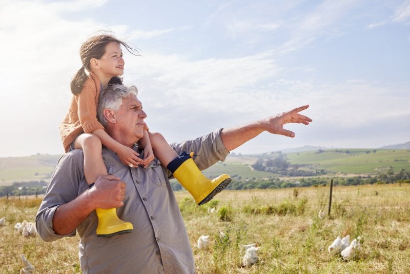 Family Law Attorney for Grandparents Rights